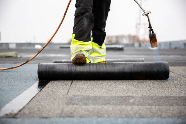 Best Roof Leak Repair  in Tecumseh, MI